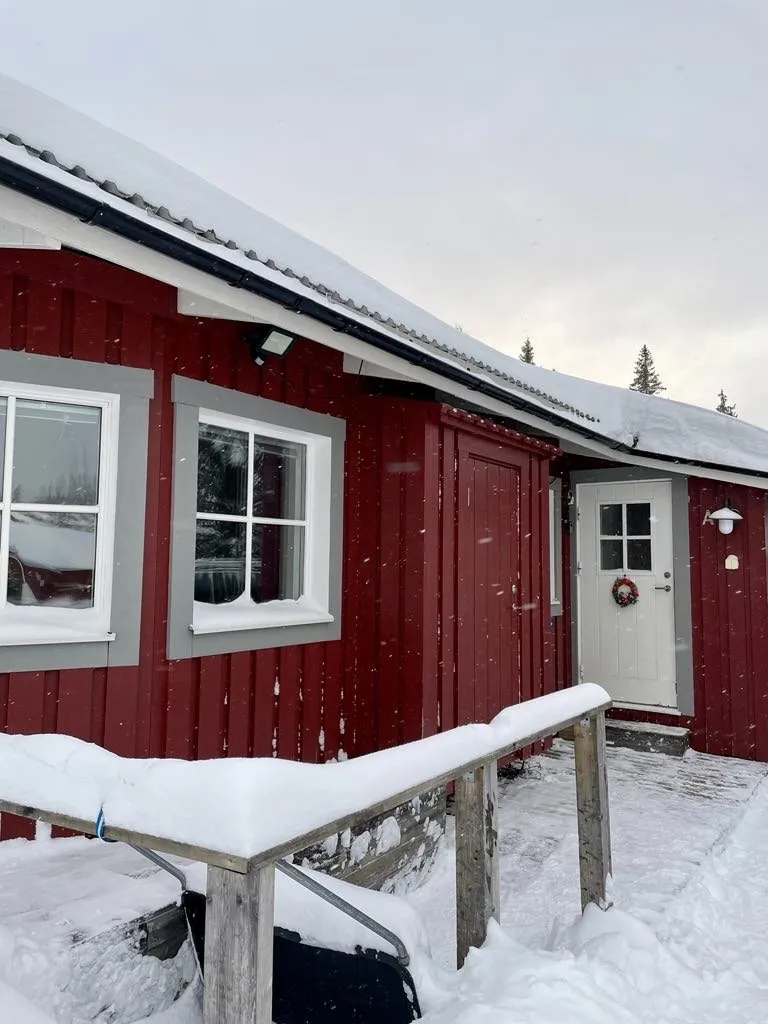 Järven Björnen i Åre