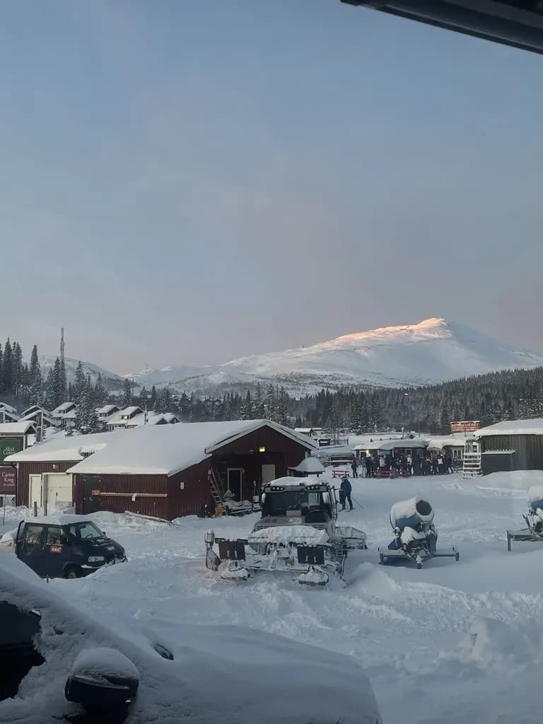 Järven Björnen i Åre