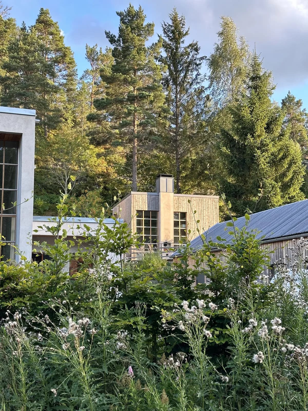 Eklövsvägen i Ingarö