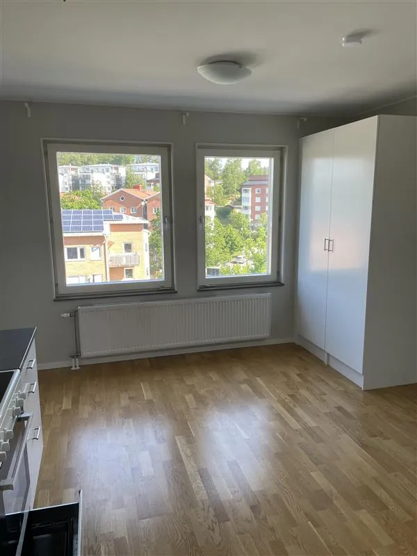 Dånviksvägen i Salem