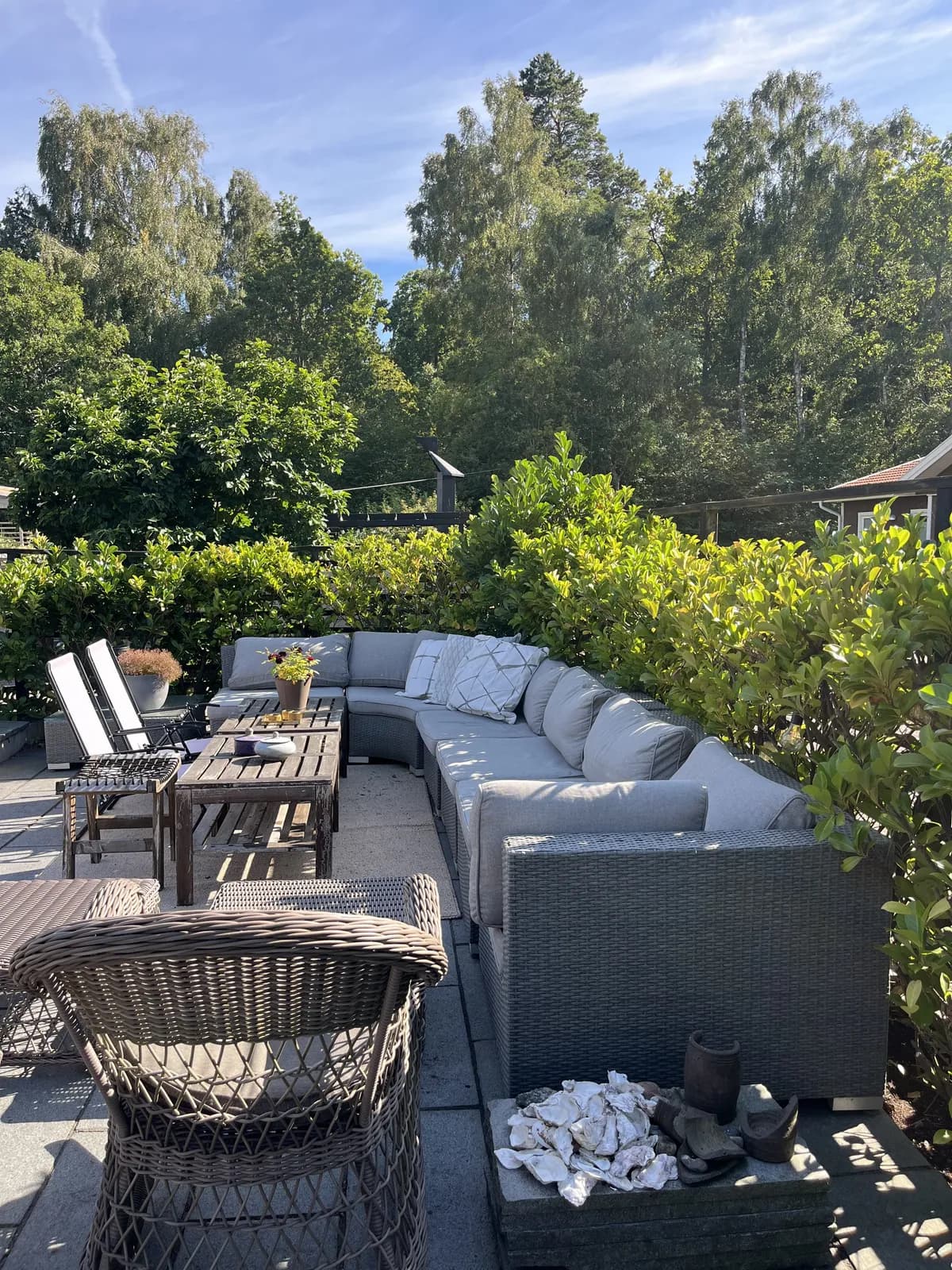 Skogsvägen i Vejbystrand
