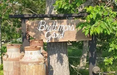 Brottmora i Riala