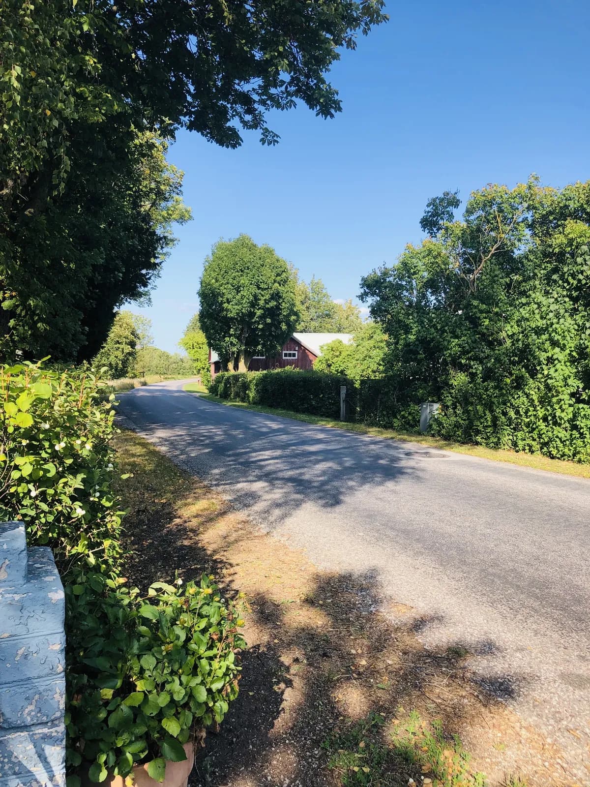 Tofta Ansarve i Gotlands Tofta