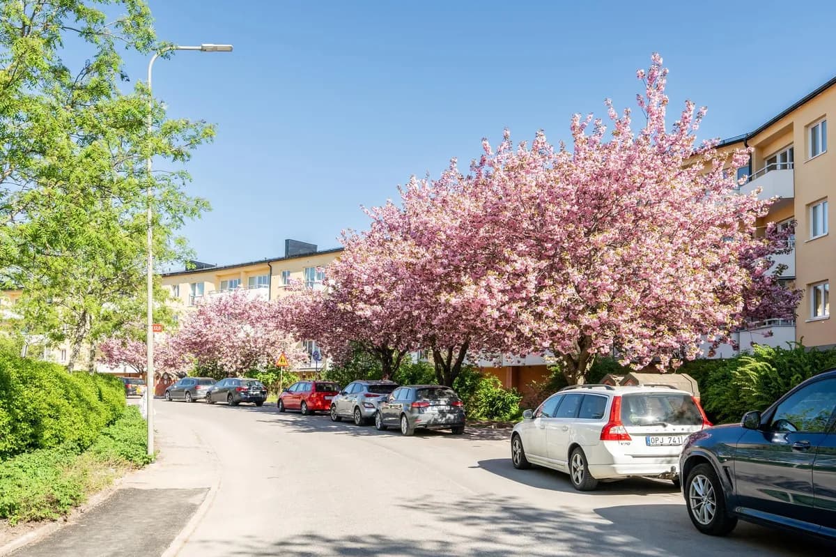 Tornslingan i Trångsund