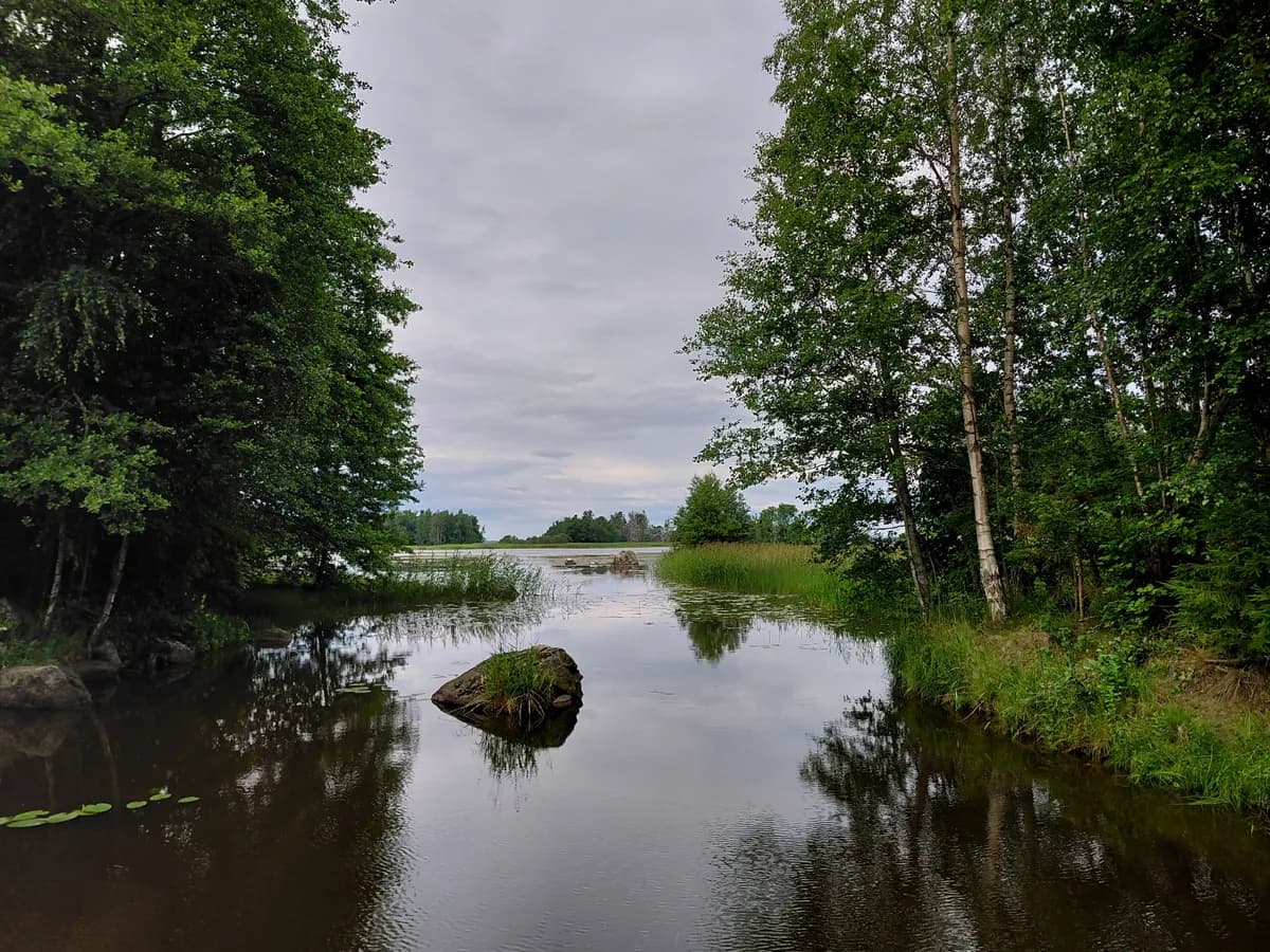 Kaunismäentie i Pori