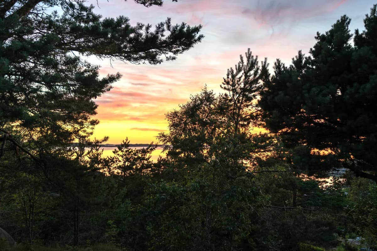 Sillviksbacken i Torslanda