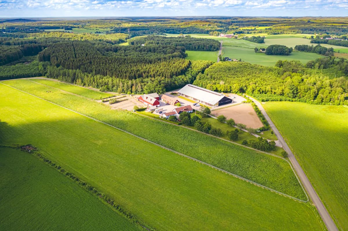Bäringe Hemman i Billinge