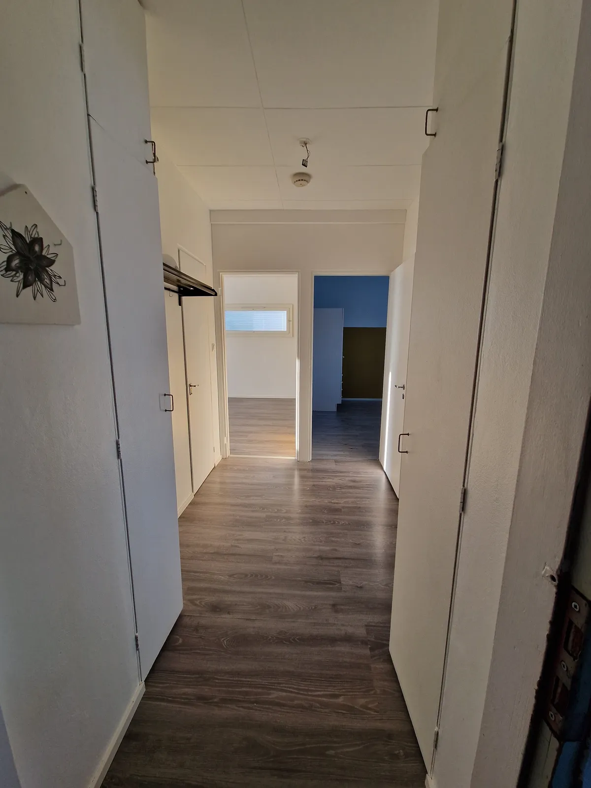Metsämiehenkatu i Varkaus