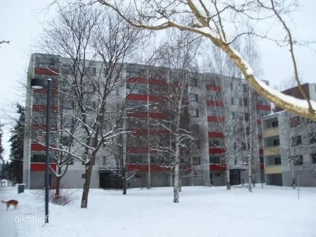 Friskinpolku i Turku