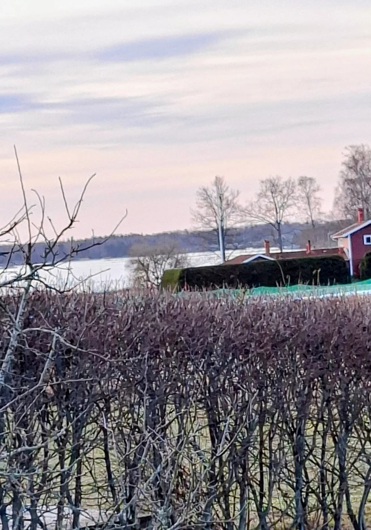 Ängsvägen
