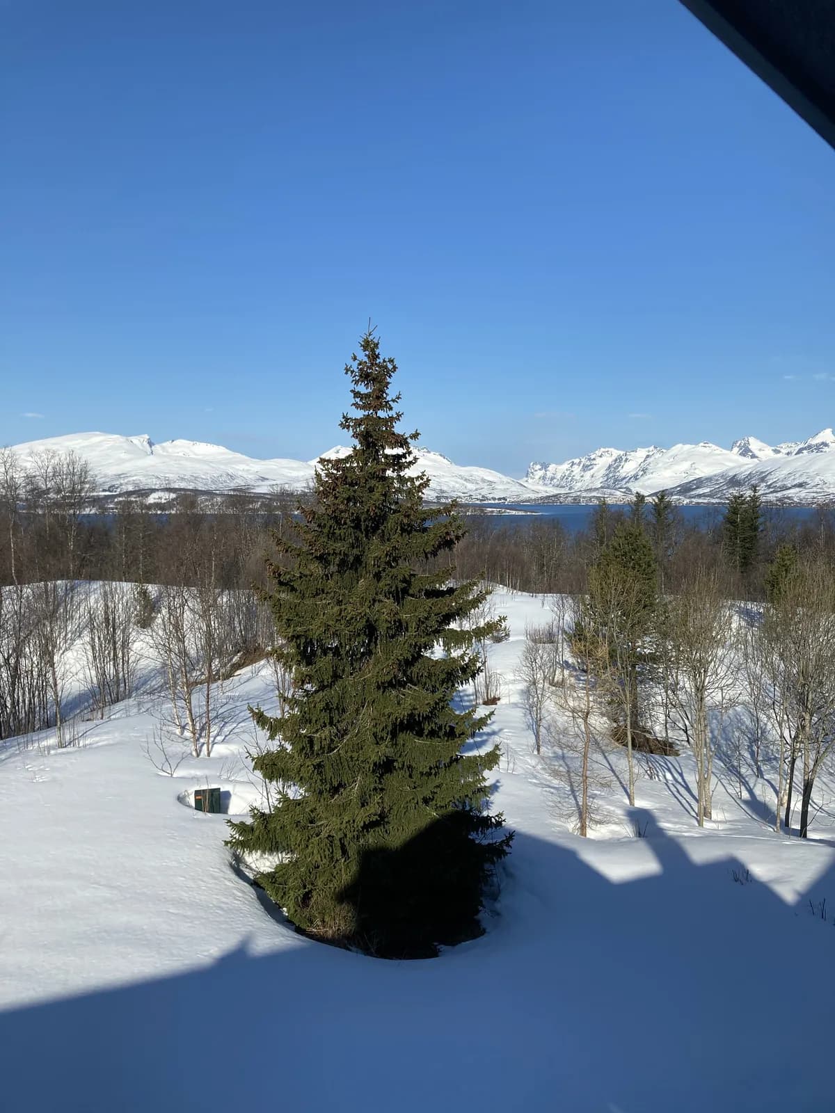 Stalheimvegen i Tromsø
