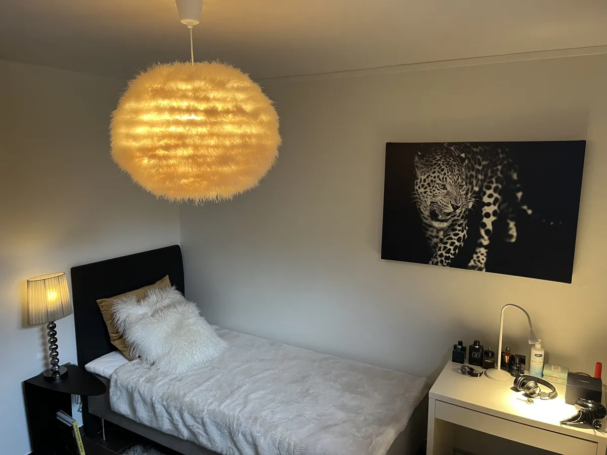 Wallmarksgatan i Halmstad