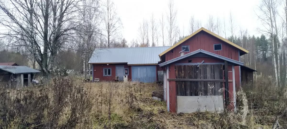 Naarajärventie i Mikkeli