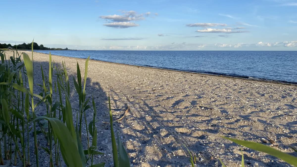 Östra Förstadsgatan i Trelleborg