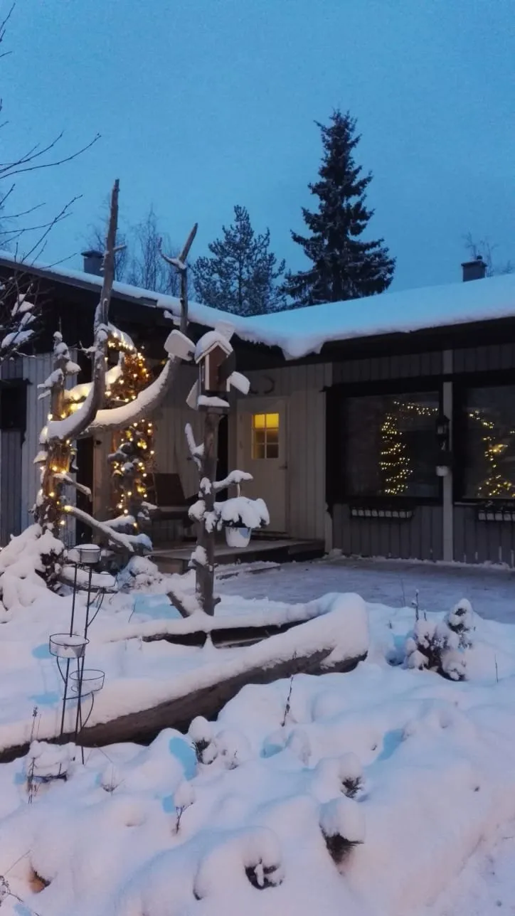Riistapolku i Kolari