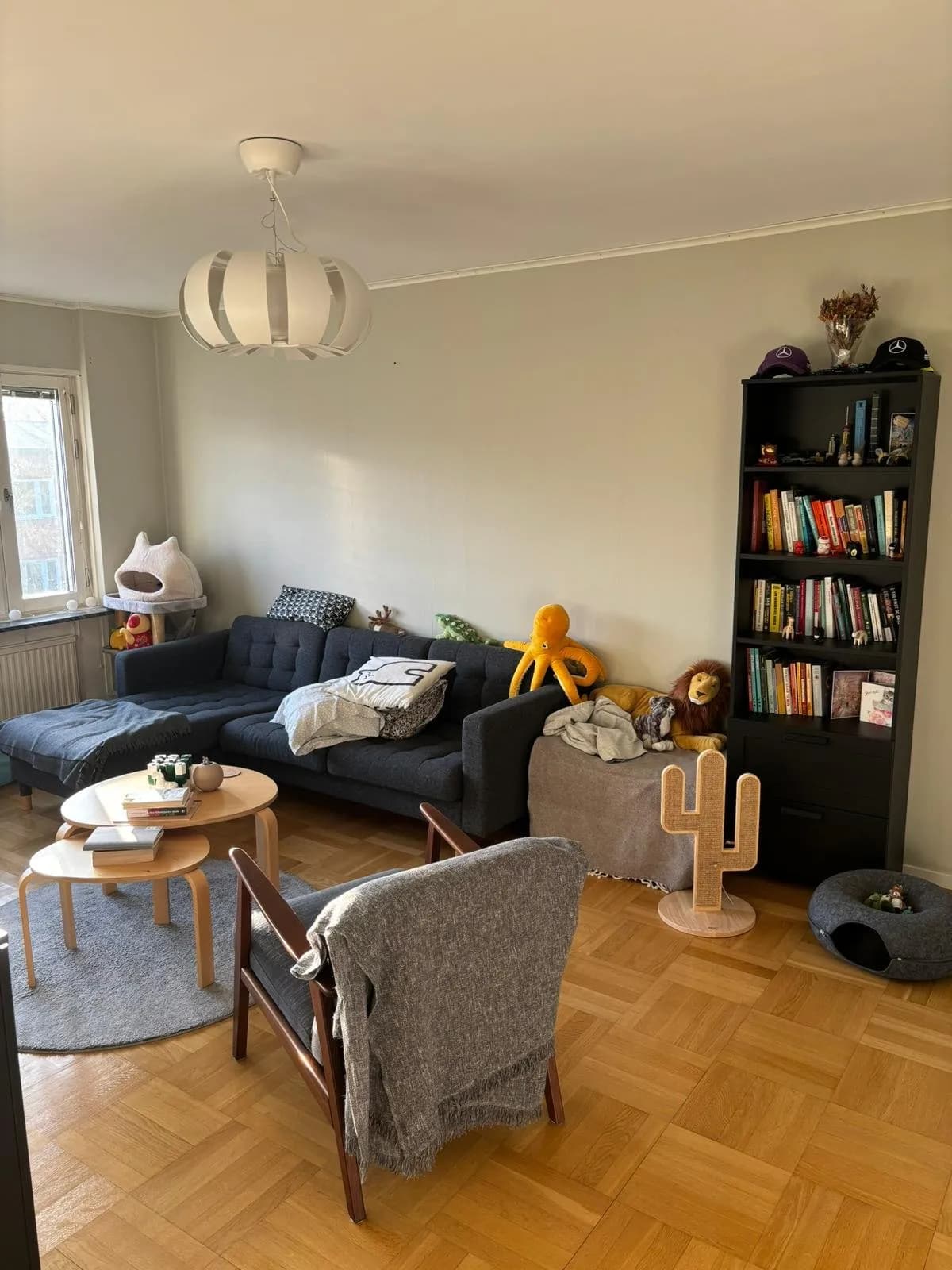 Vildgåsvägen i Lund