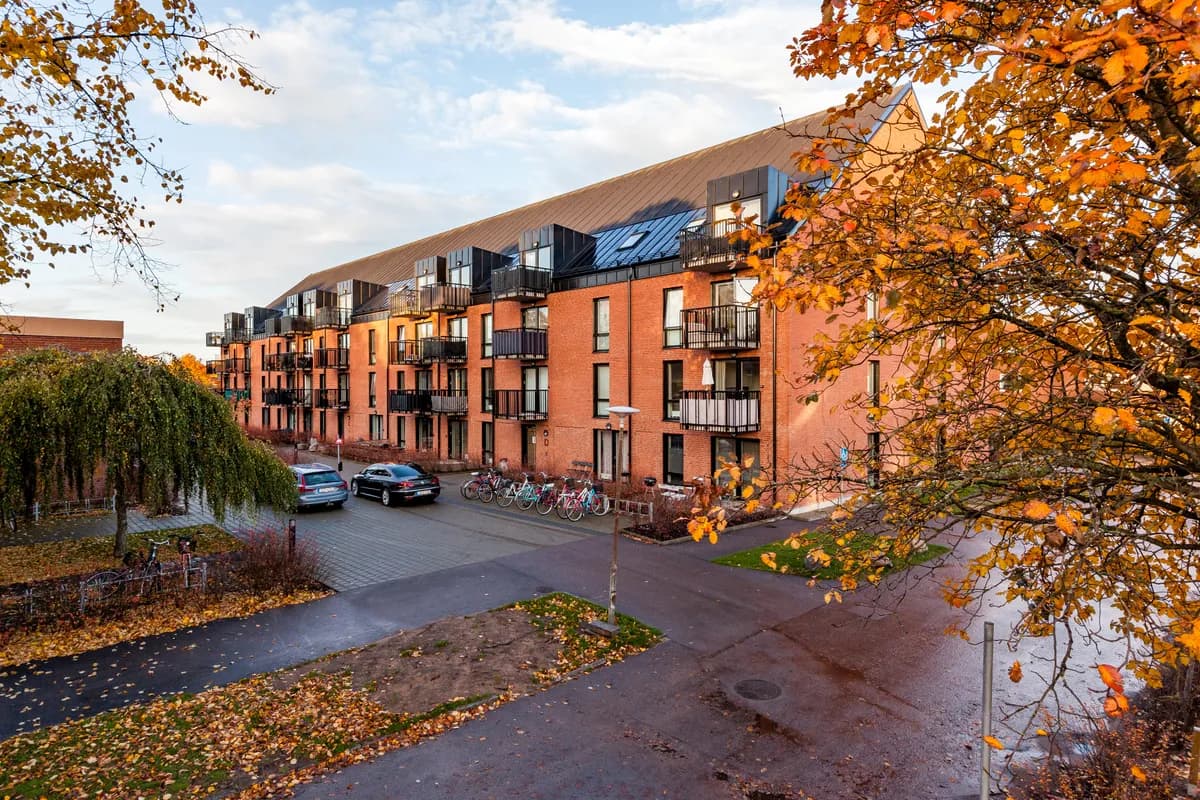 Malcusgatan i Halmstad