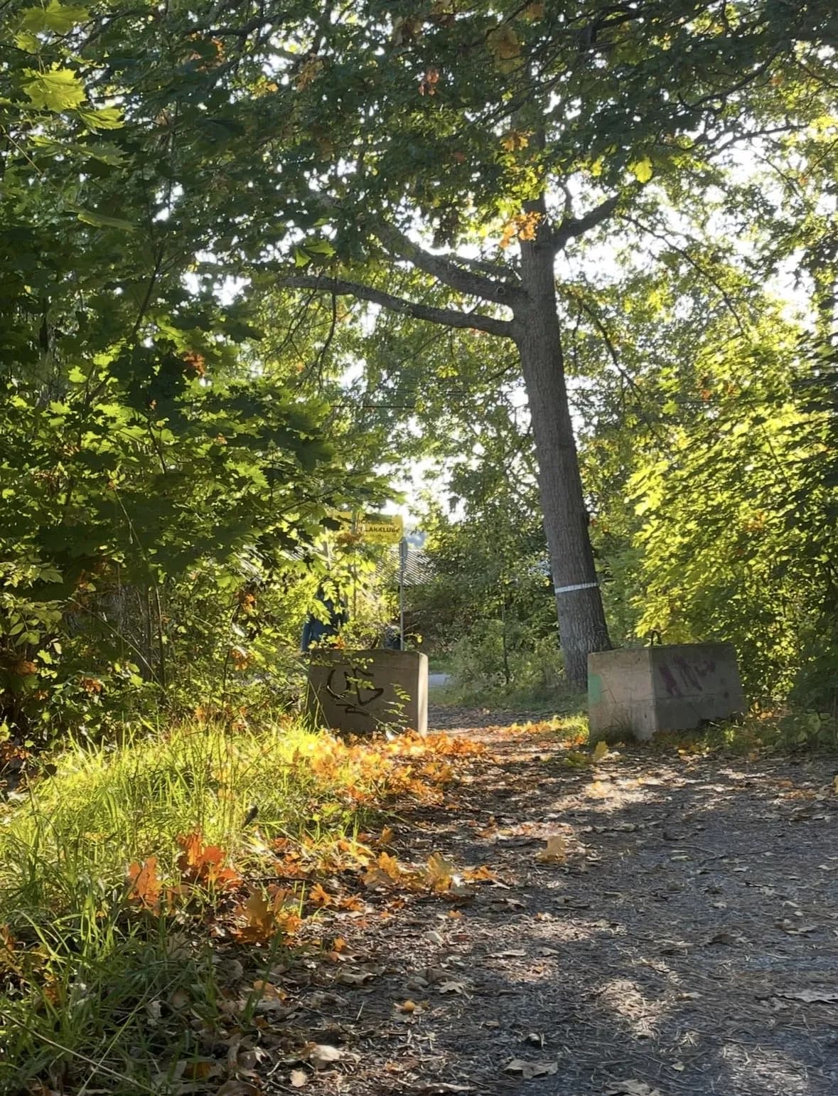 Multrågatan i Vällingby
