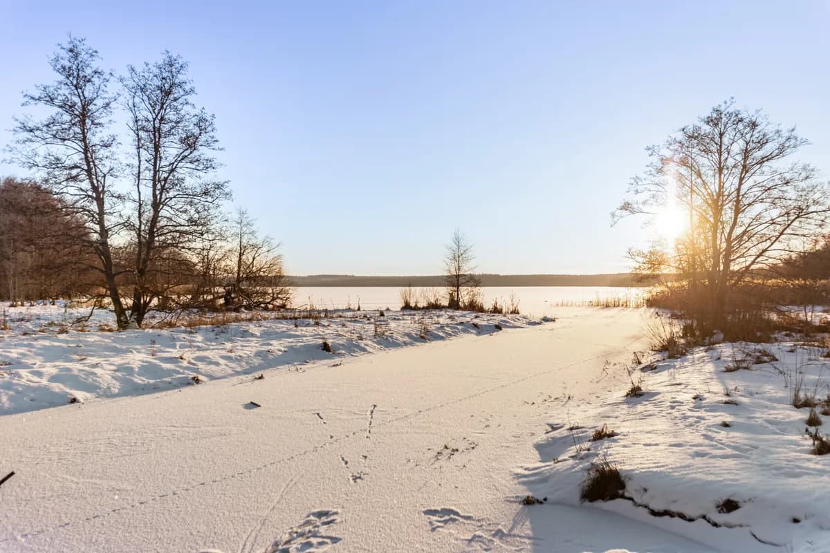 Trädgårdsmästeriets väg i Märsta