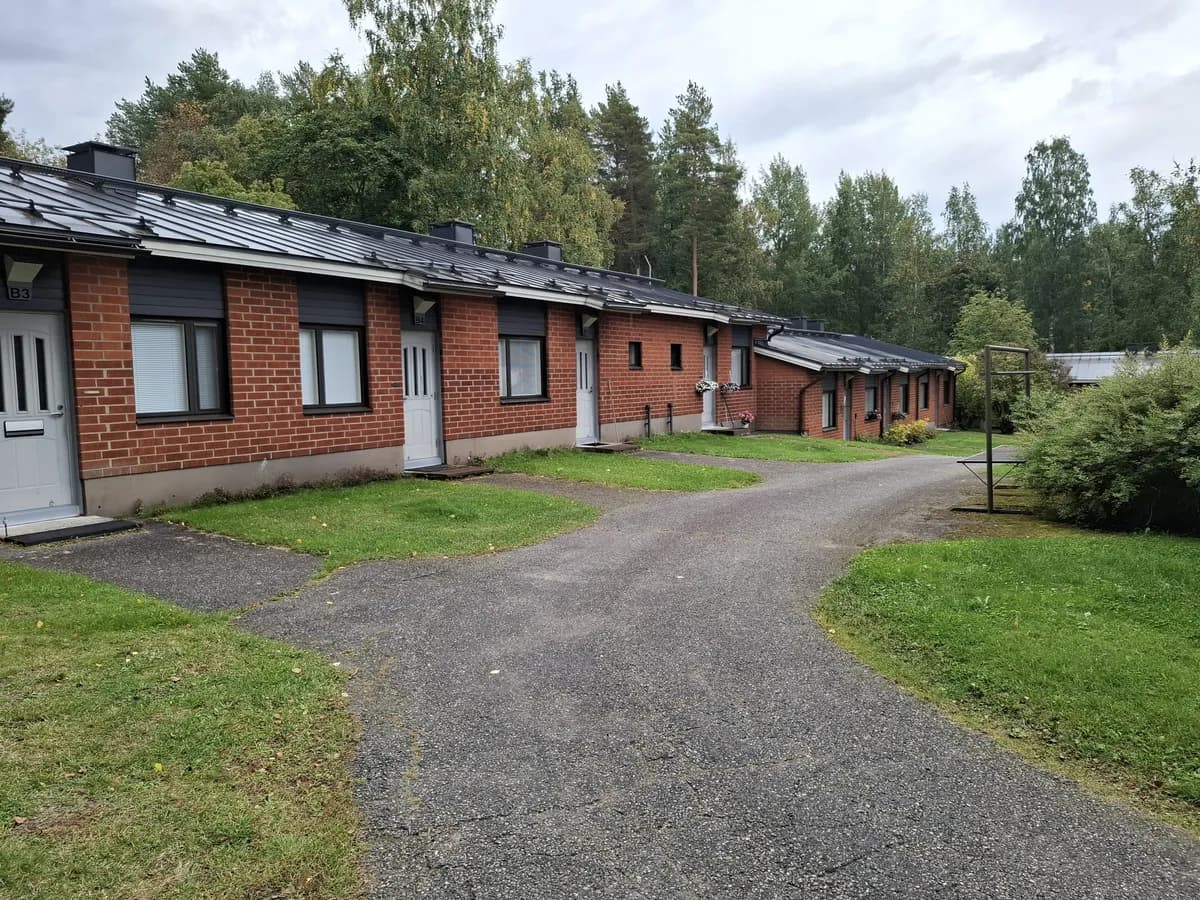 Somerotie i Joensuu