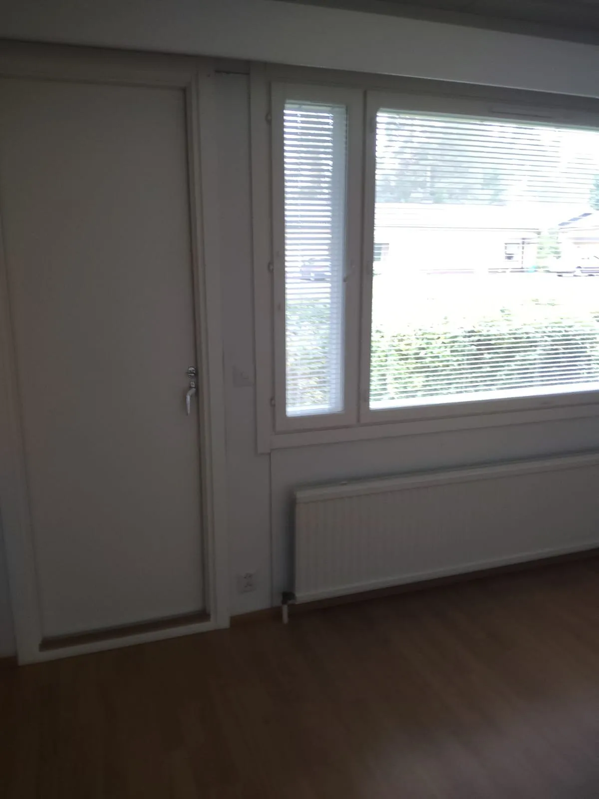 Ritovuorentie i pihtipudas
