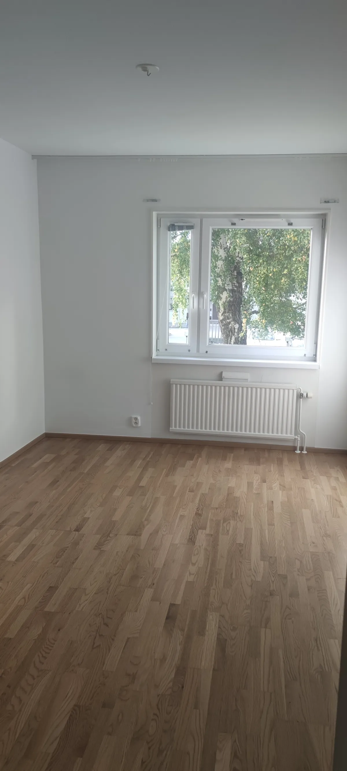 Morkullevägen i Umeå
