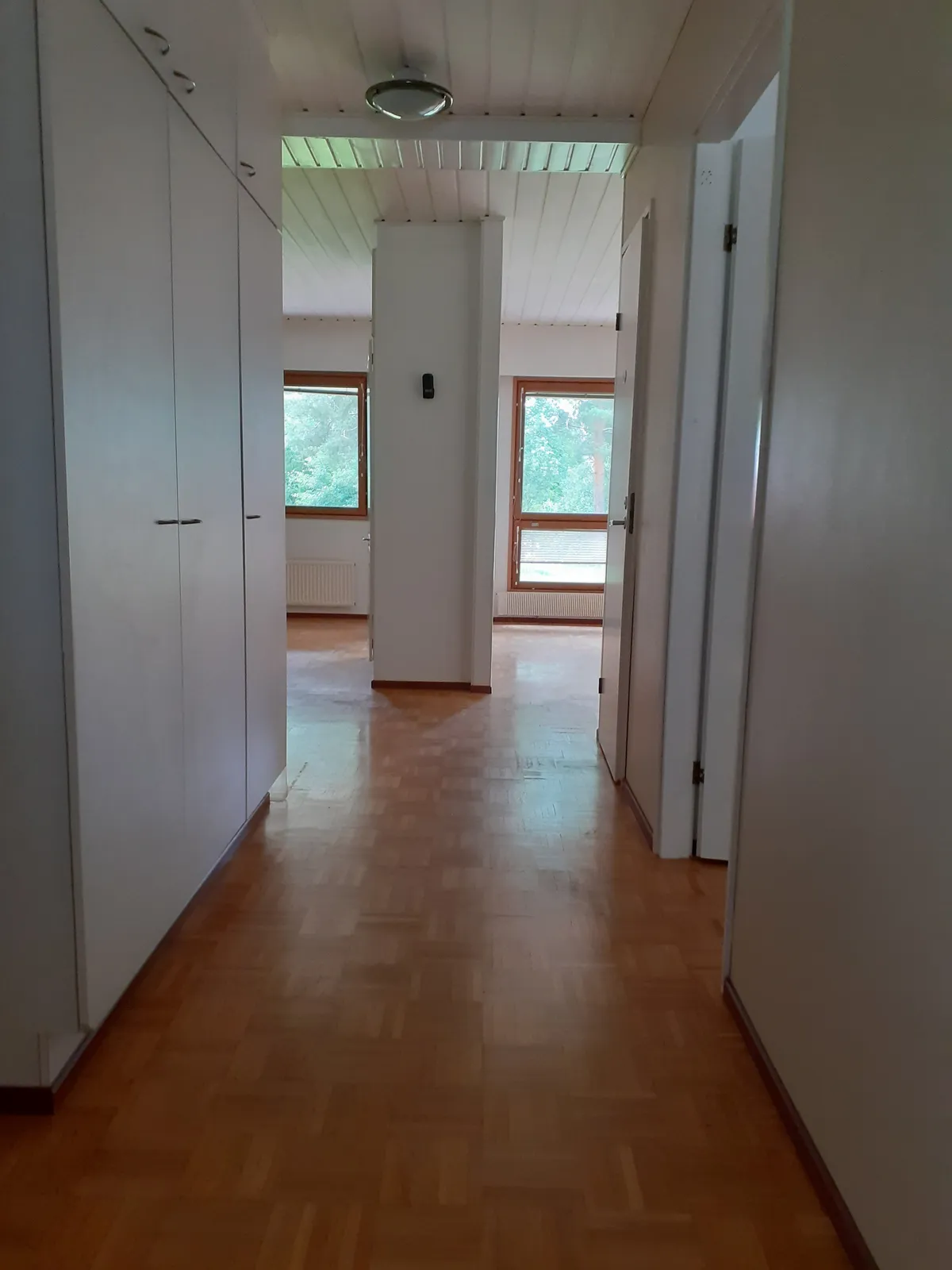 Timontie i Siilinjärvi