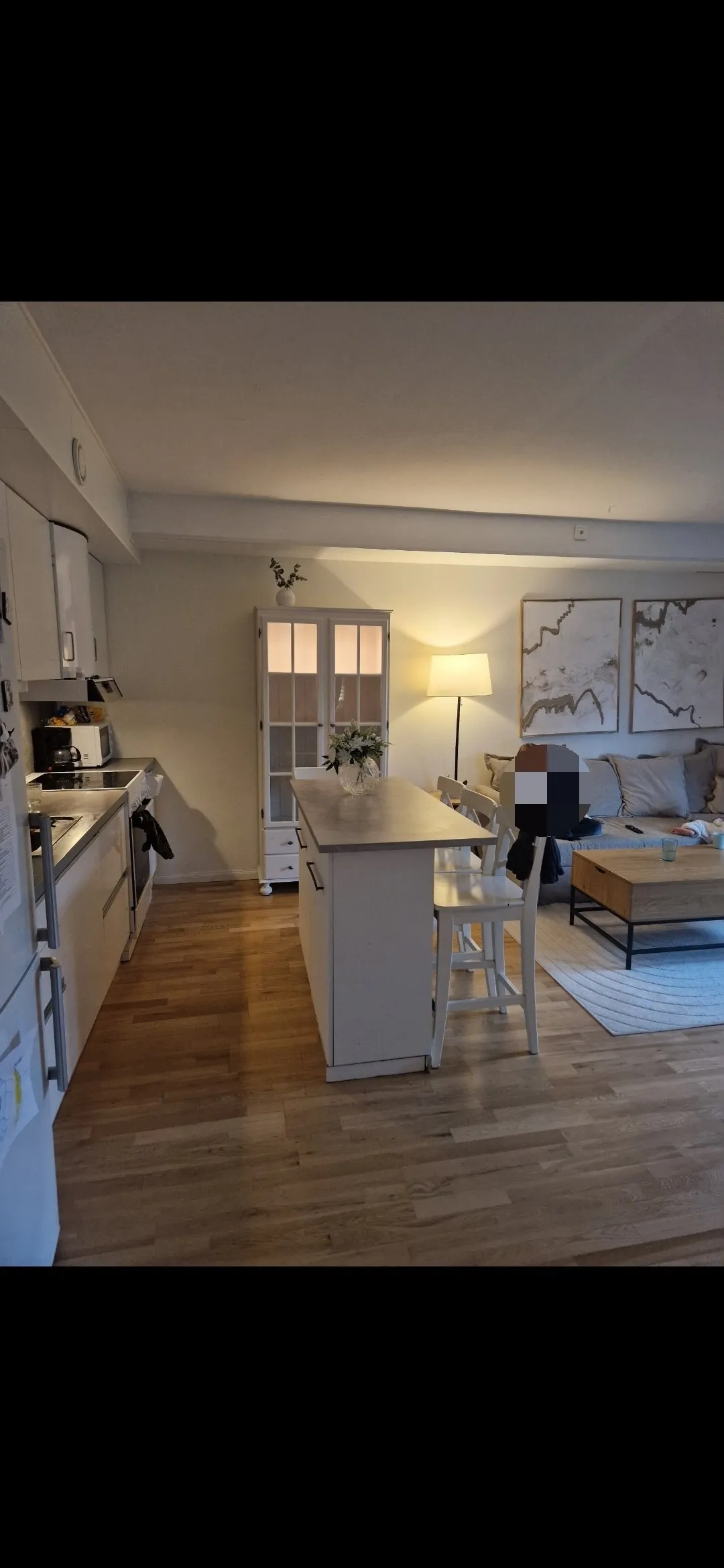 Mölnbovägen i Järna