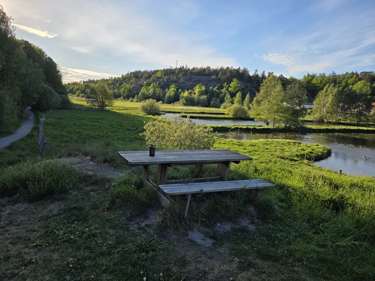 Taggsvampsvägen i Huddinge