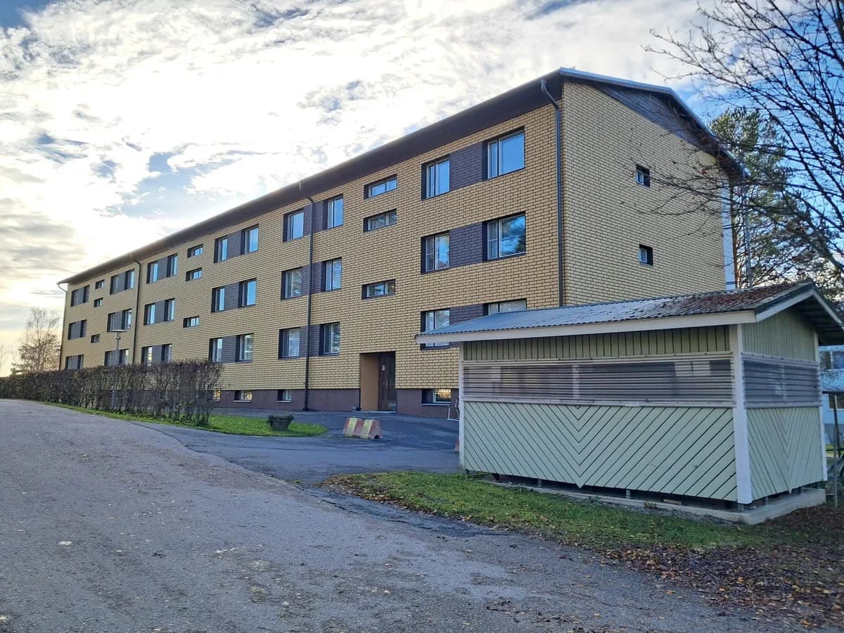 Hakatie i Viitasaari