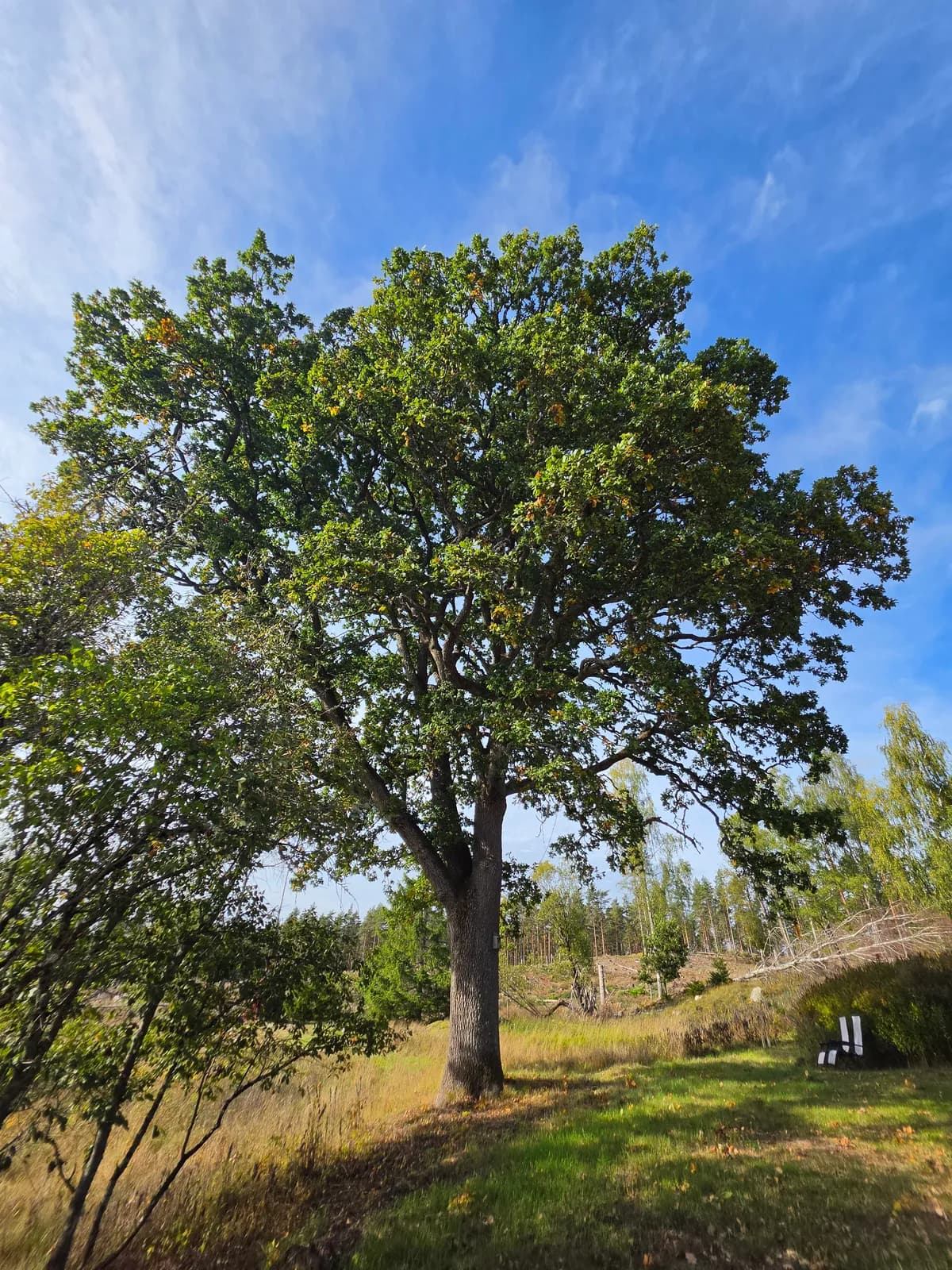 Skogstorp Christineholm i Nyköping