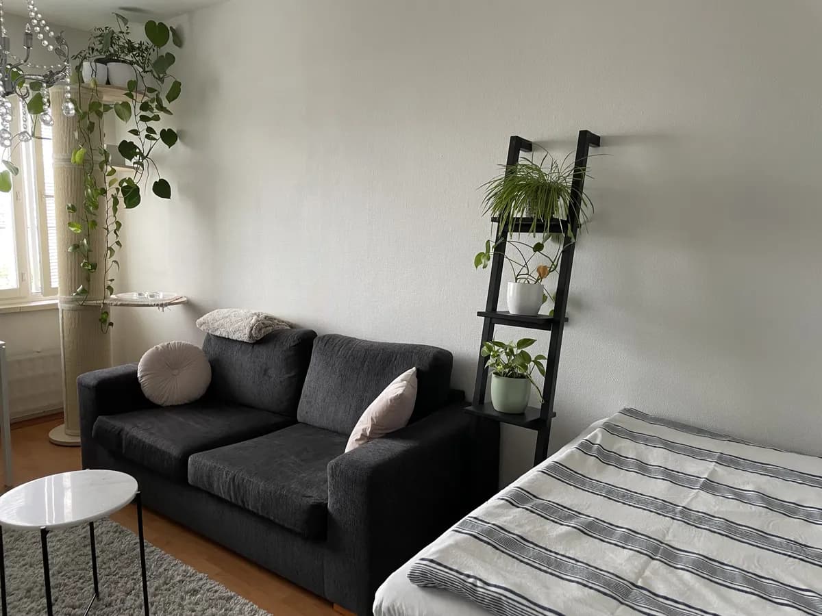 Aleksis Kiven katu i Helsinki