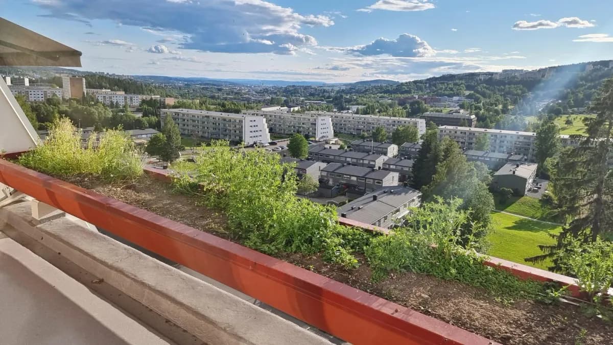 Tokerudberget i Oslo