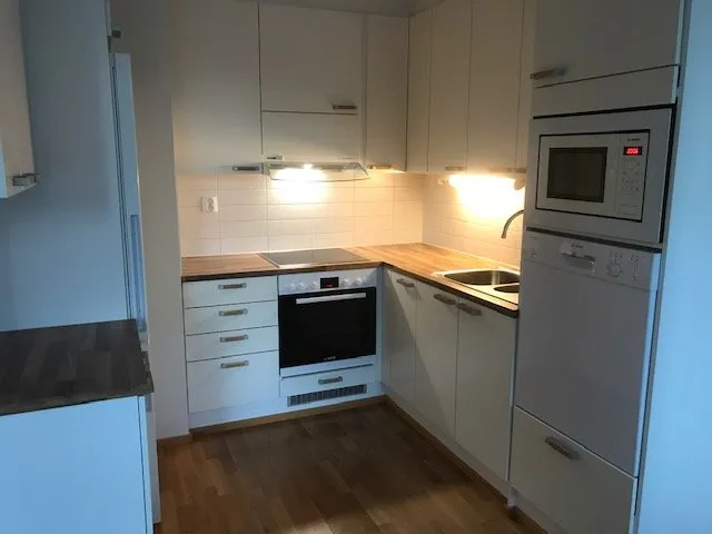Jontikka i Jyväskylä