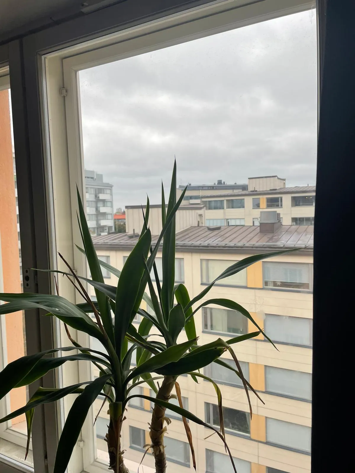 Kolmas linja i Helsinki