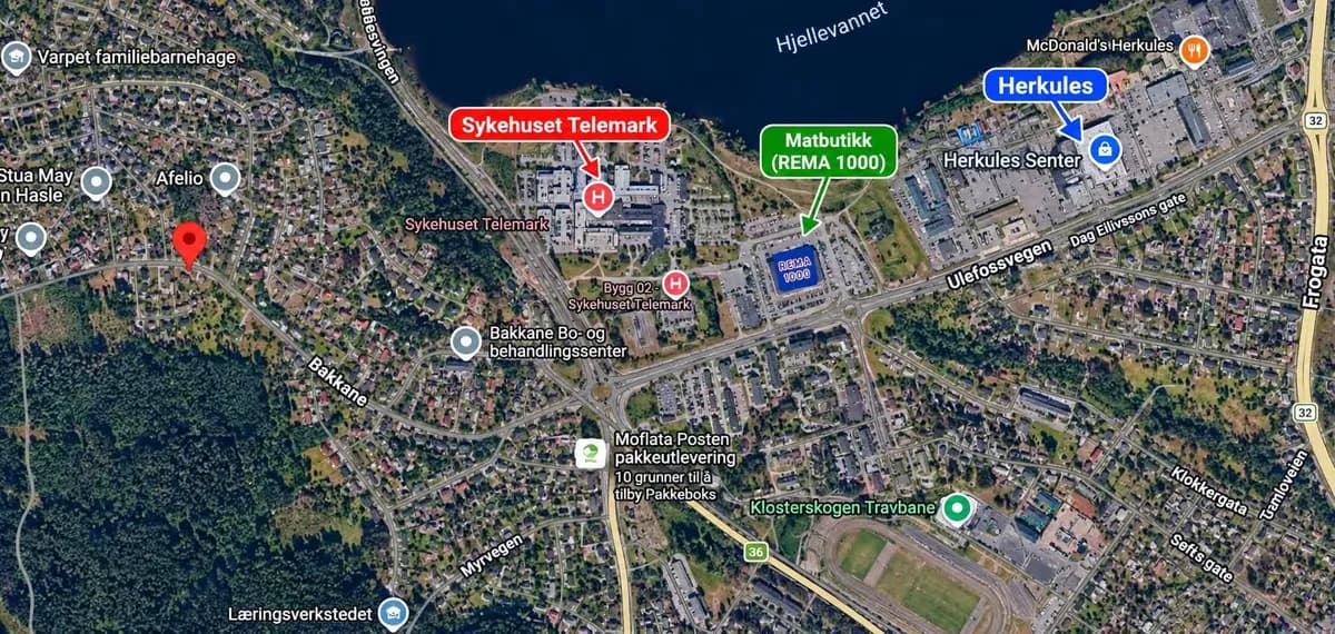 Bakkane i Skien