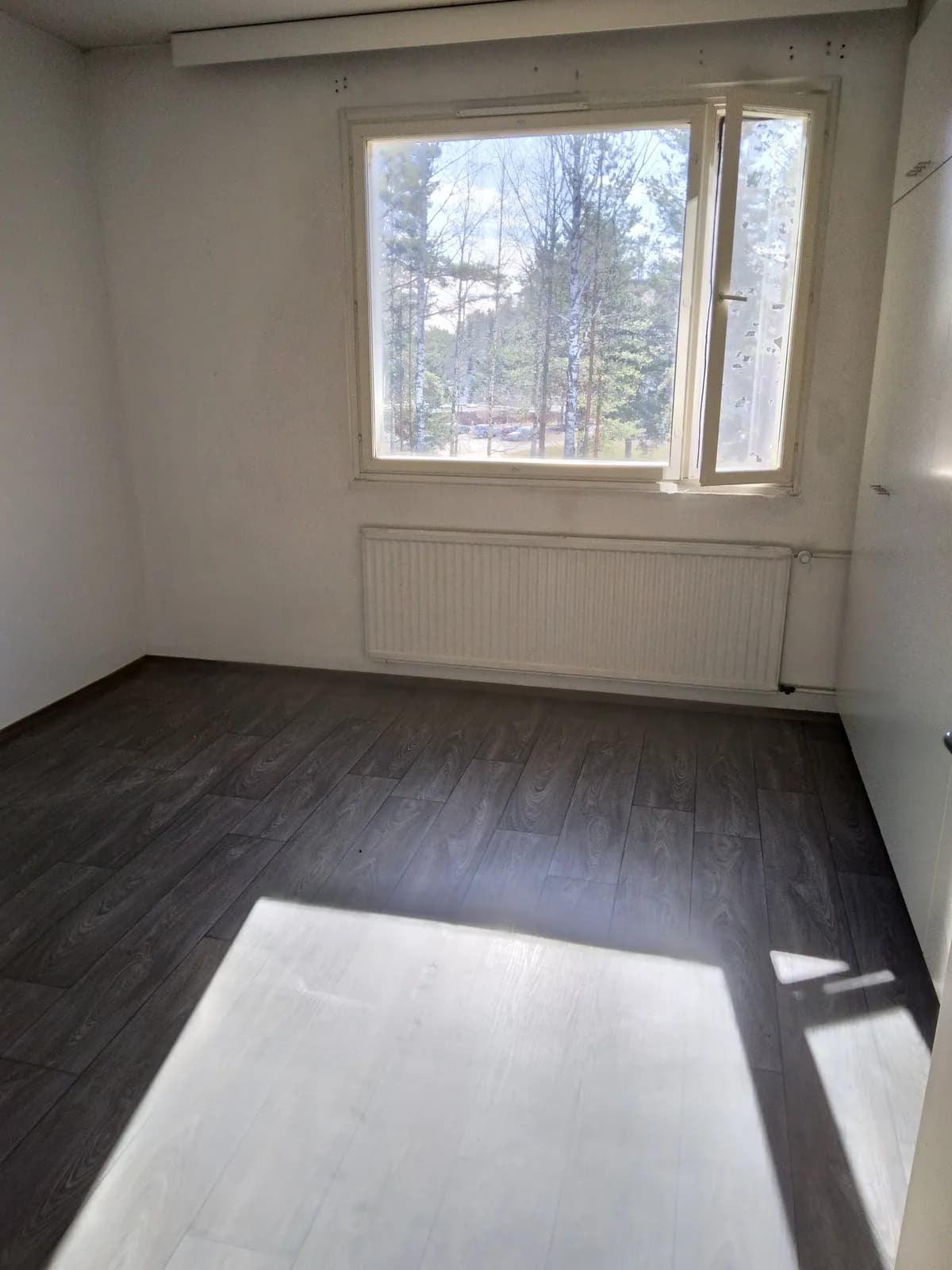 Metsolantie i Suonenjoki