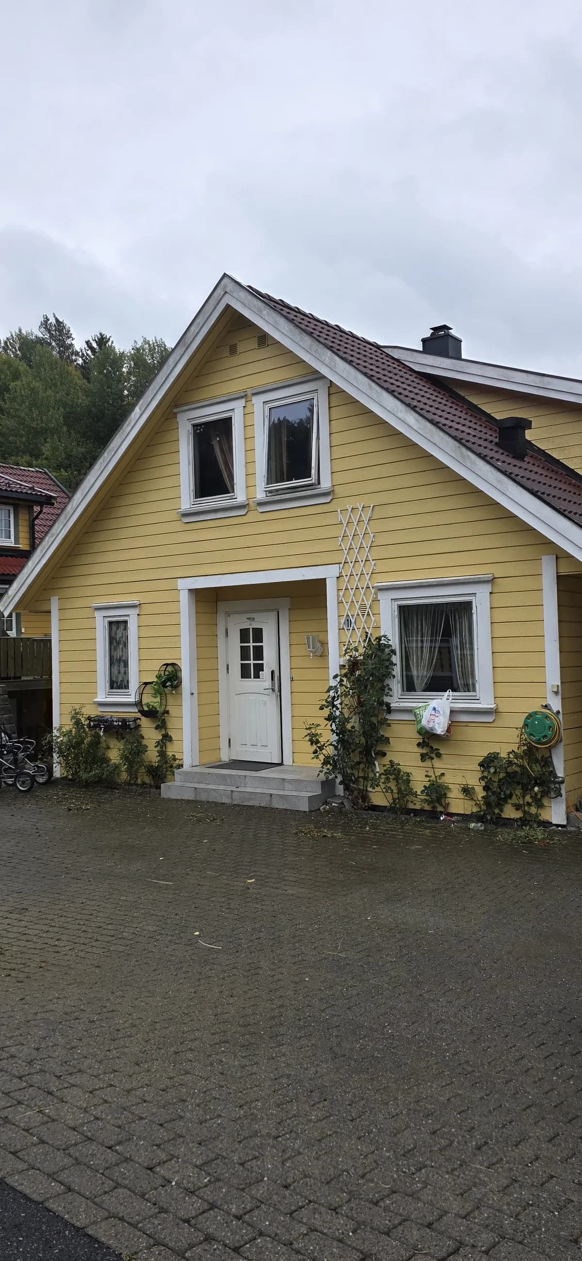 Pasoplia i Oslo