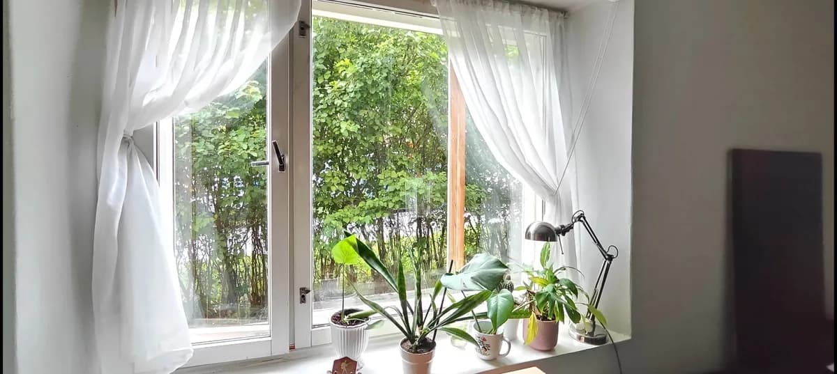 Ahotie i Tampere