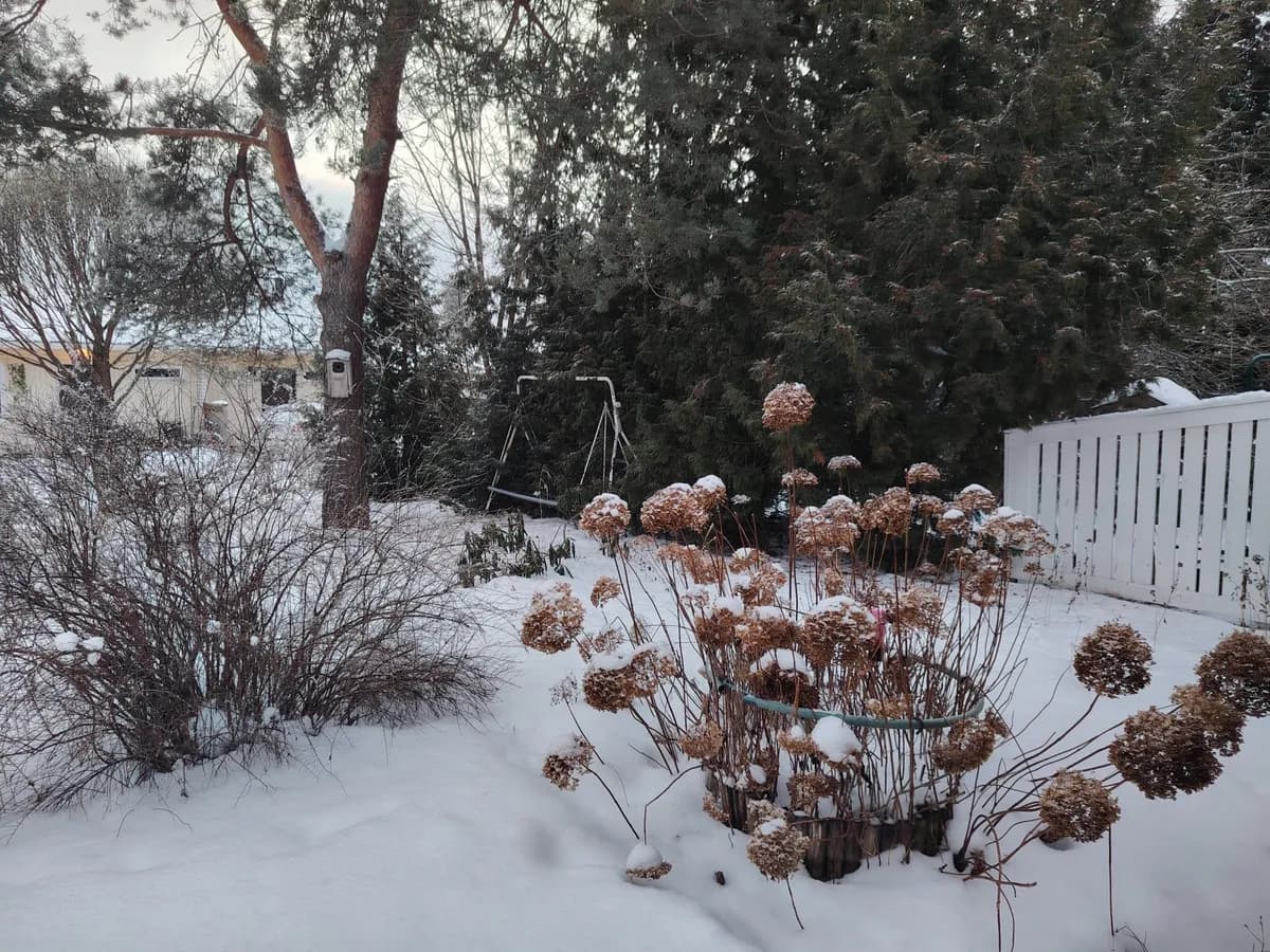 Haavistontie i Akaa
