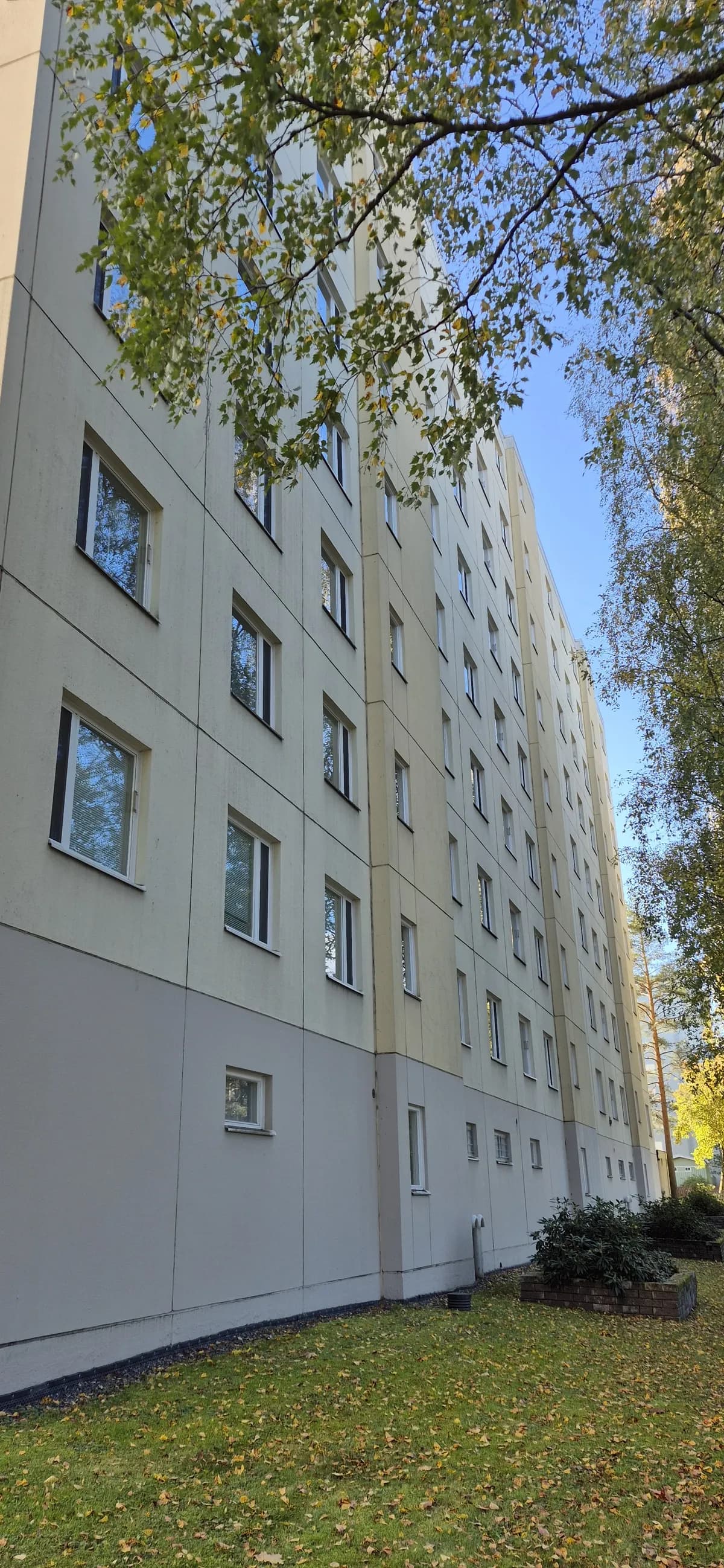 Ruovedenkatu i Tampere