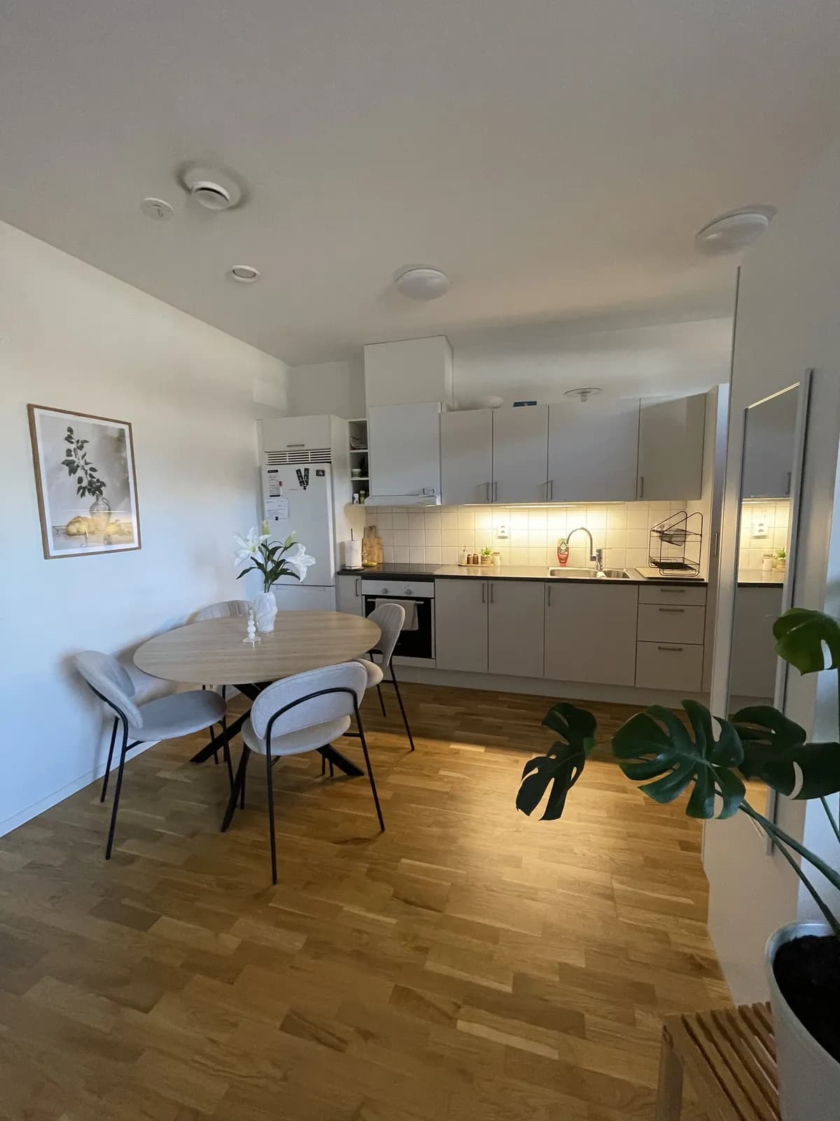 Prästgatan i Landskrona