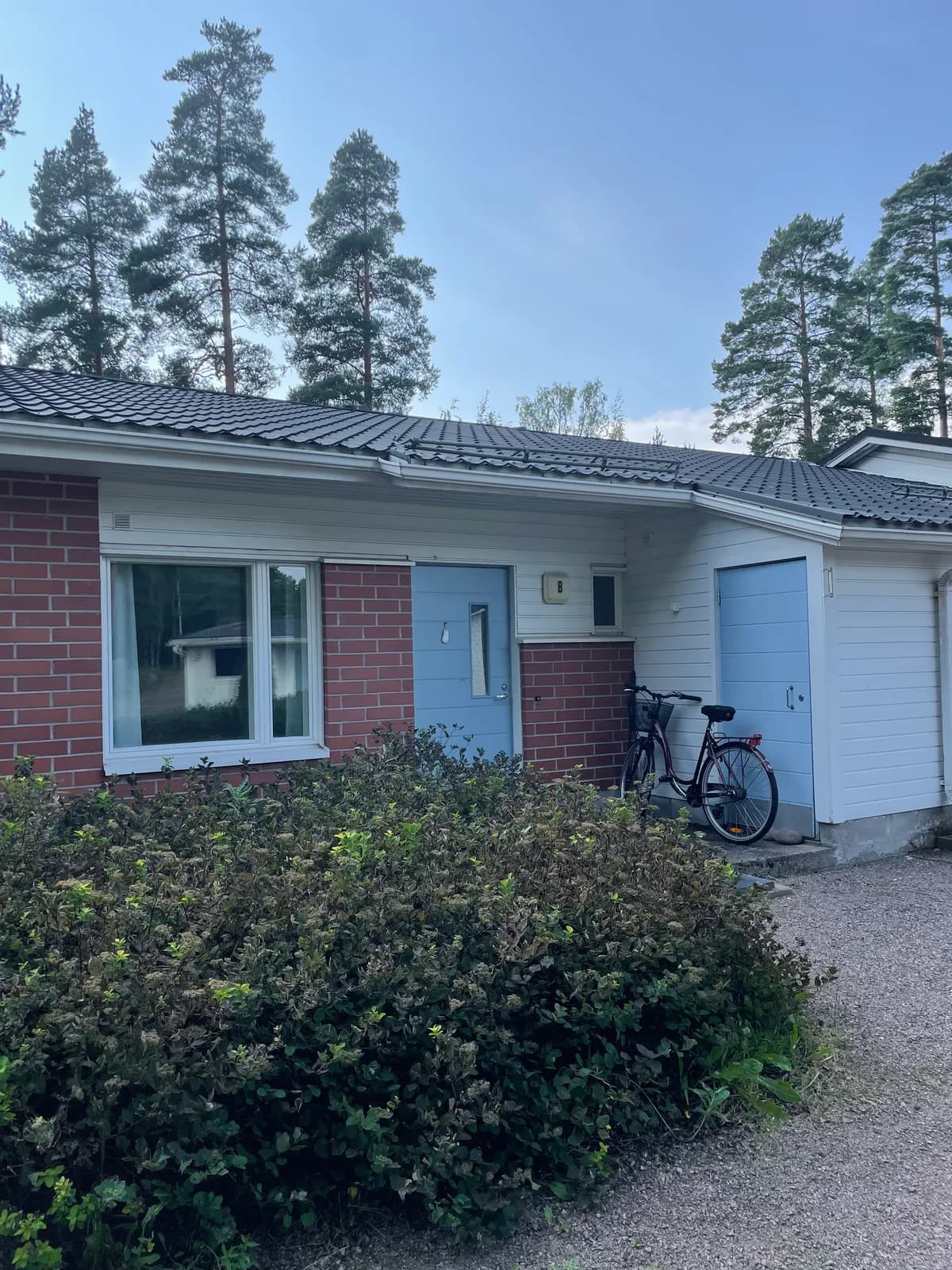 Kanahaukantie i Pyhtää