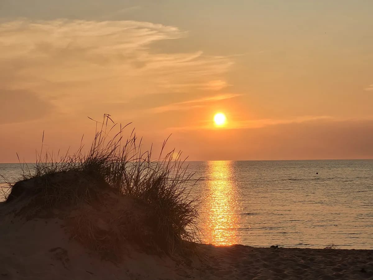 Kalakuja i Kalajoki
