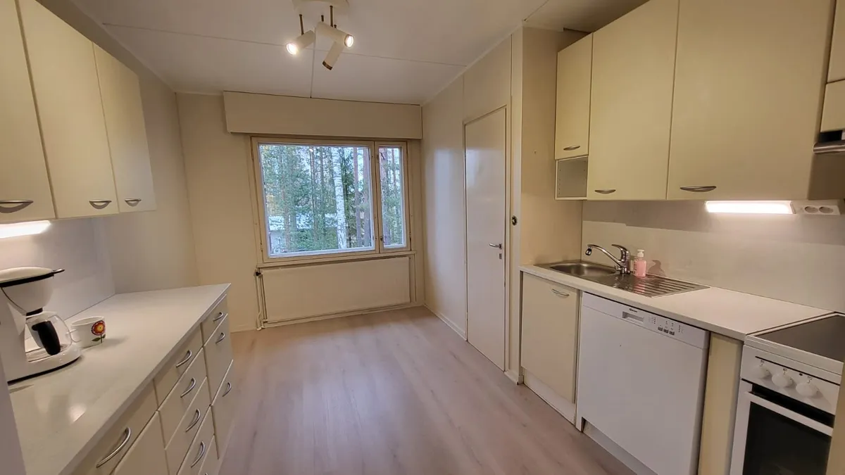 Koivukuja i Parikkala
