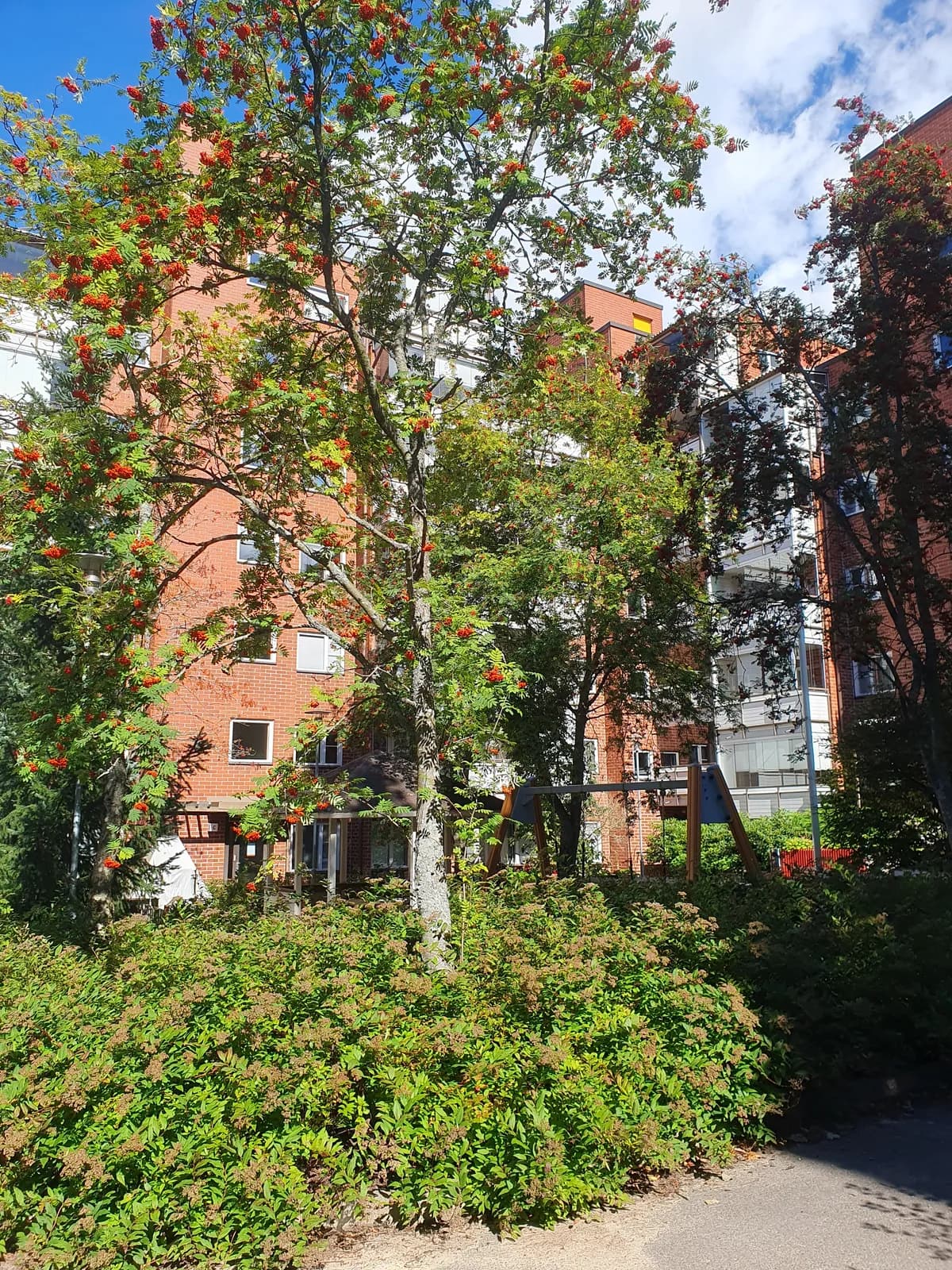 Maistraatinkatu i Helsinki