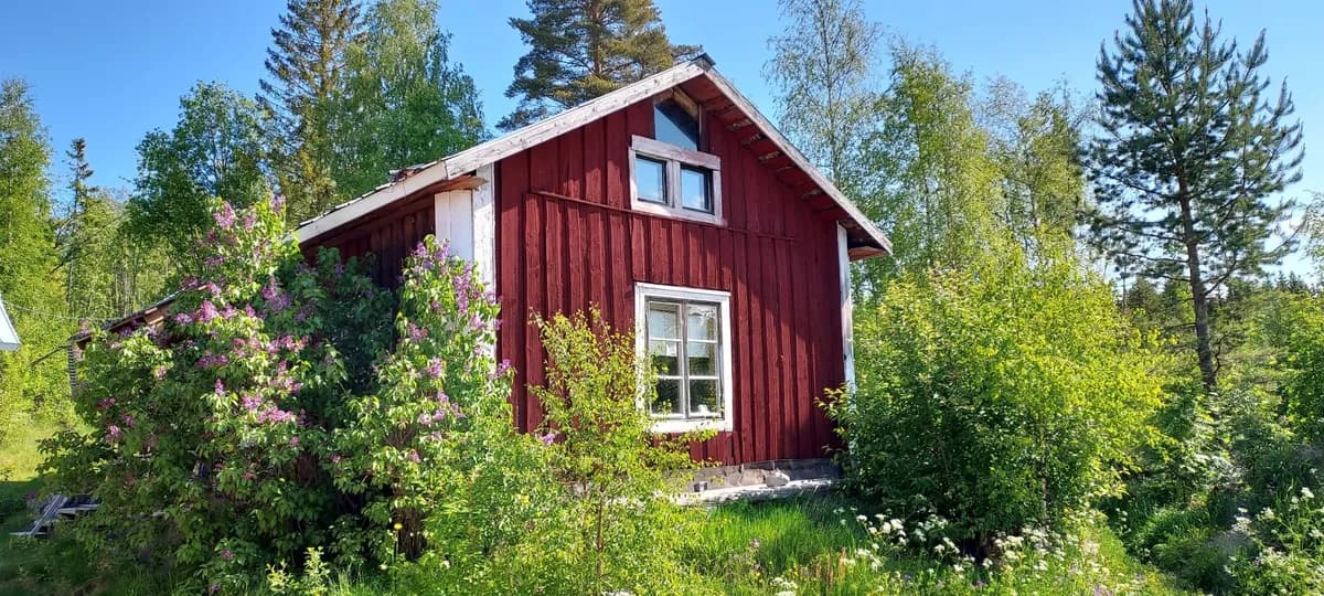 Dala i Skog