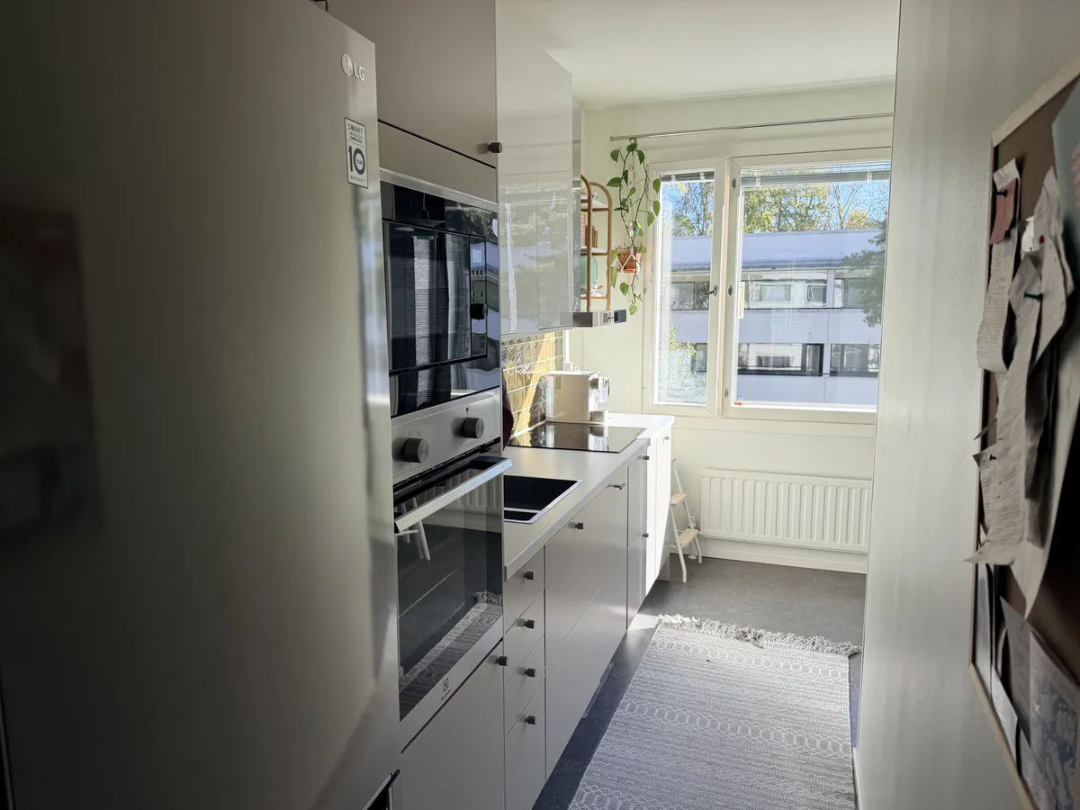 Isonvillasaarentie i Helsinki