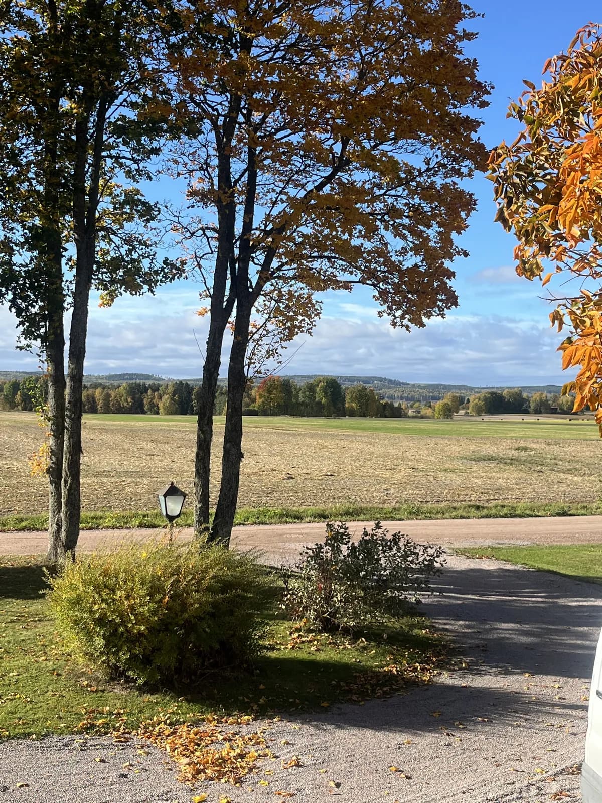 Kerstin Heds väg i Hedemora