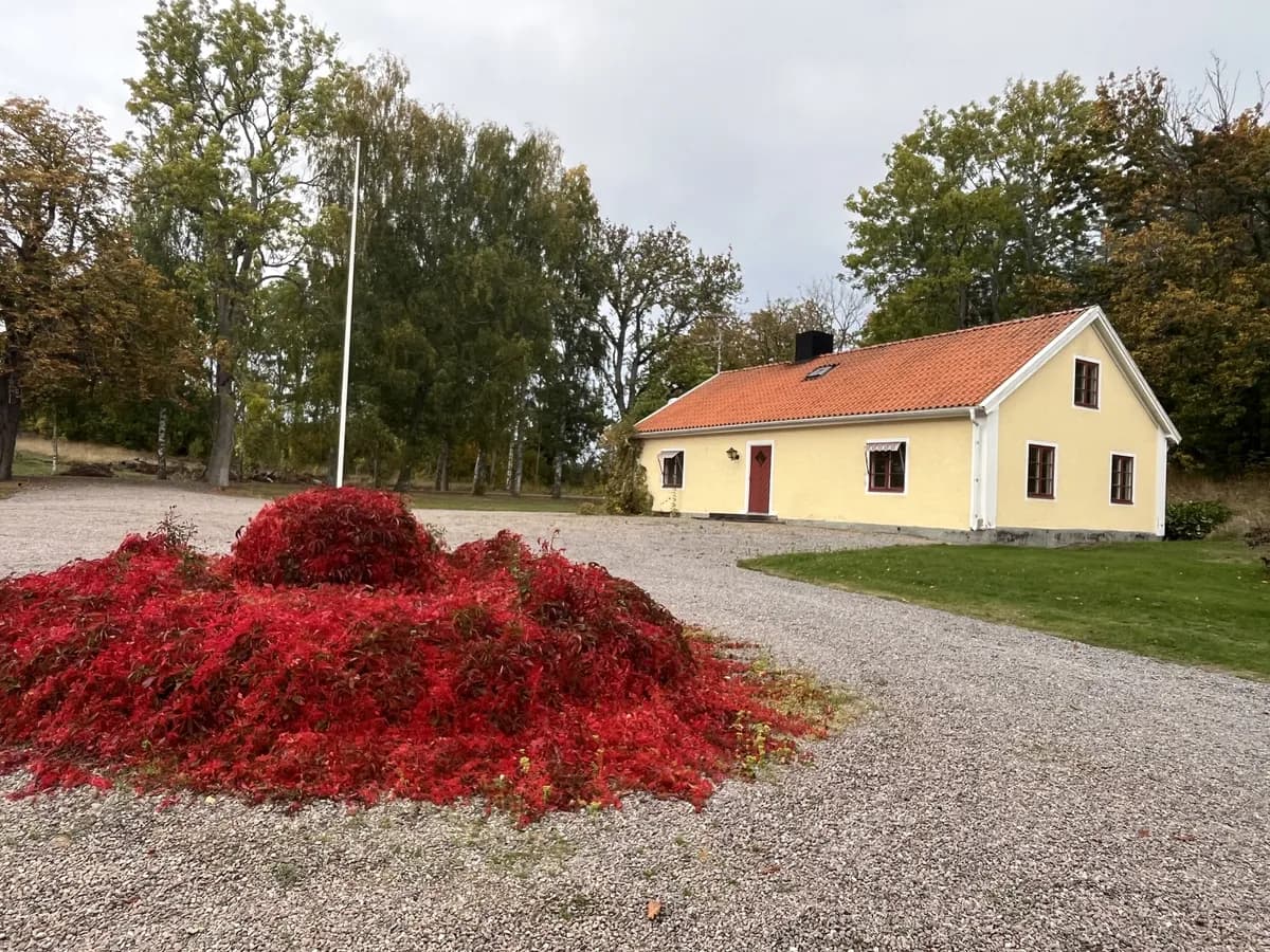 Grebo Katrineberg i Linköping